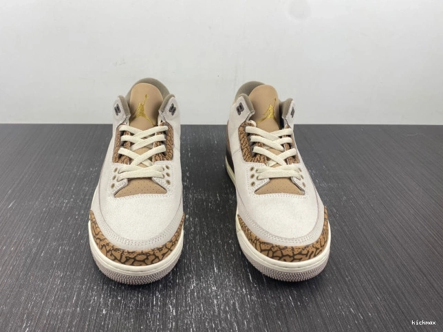 Rep Palomino 3 Jordan CT8532-102 Air 0713